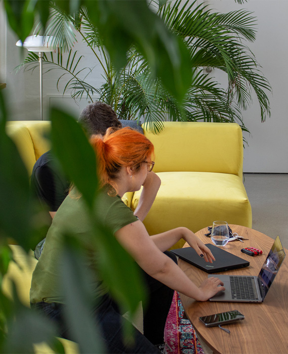 two people in a meeting on the yellow couch seen through tree leaves (Photo)
